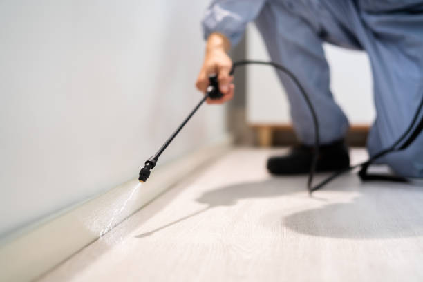 Licensed Fumigation Services service in El Sobrante, CA - Nex Pest Control