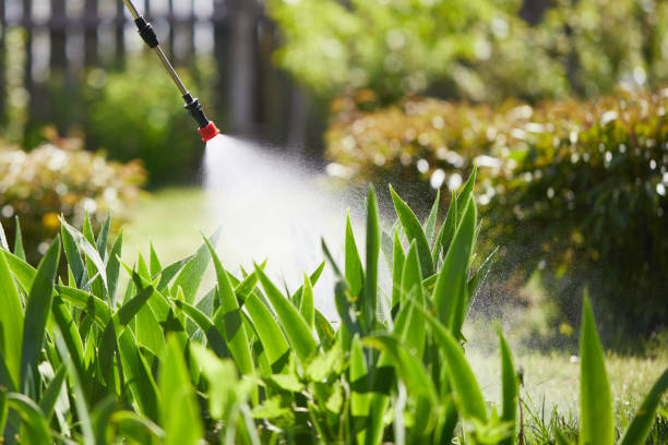 24/7 Emergency Fumigation Services experts in El Sobrante, CA