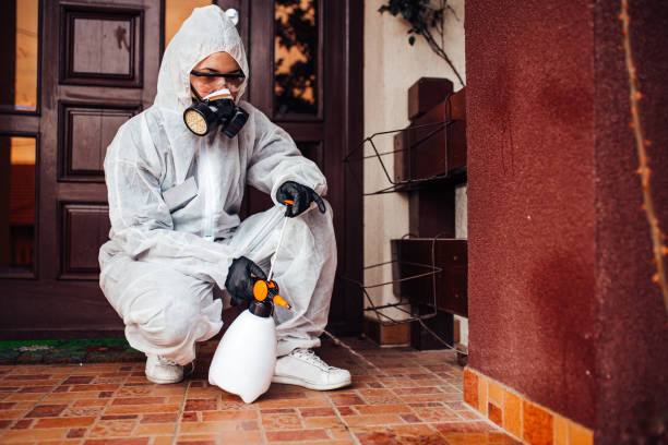Reliable Fumigation Services contractor in El Sobrante, CA by Nex Pest Control