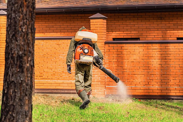 Trusted Cockroach Control service in El Sobrante, CA - Nex Pest Control